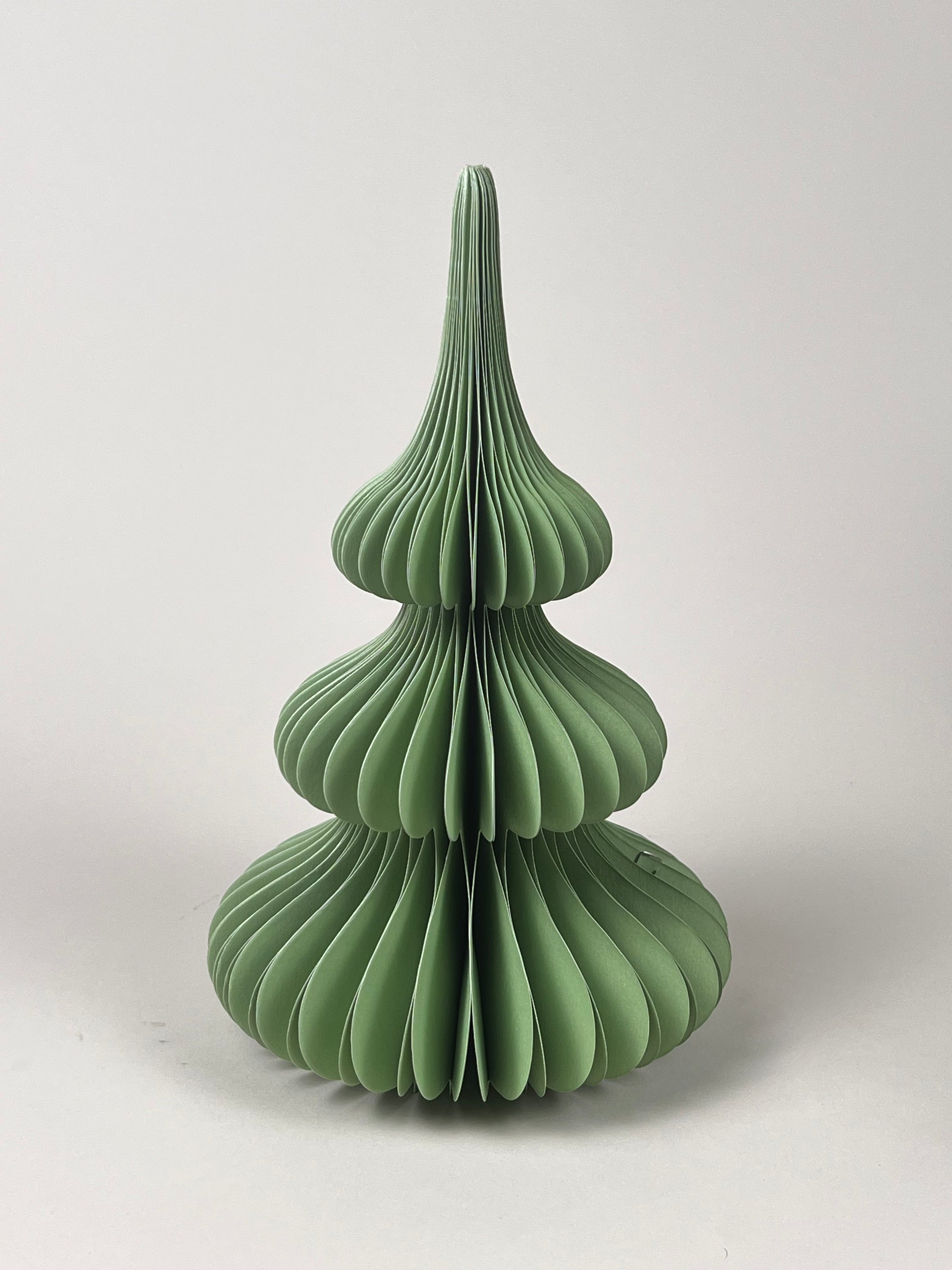 Honeycomb Pappersgran Tree Spruce Ming 24 cm
