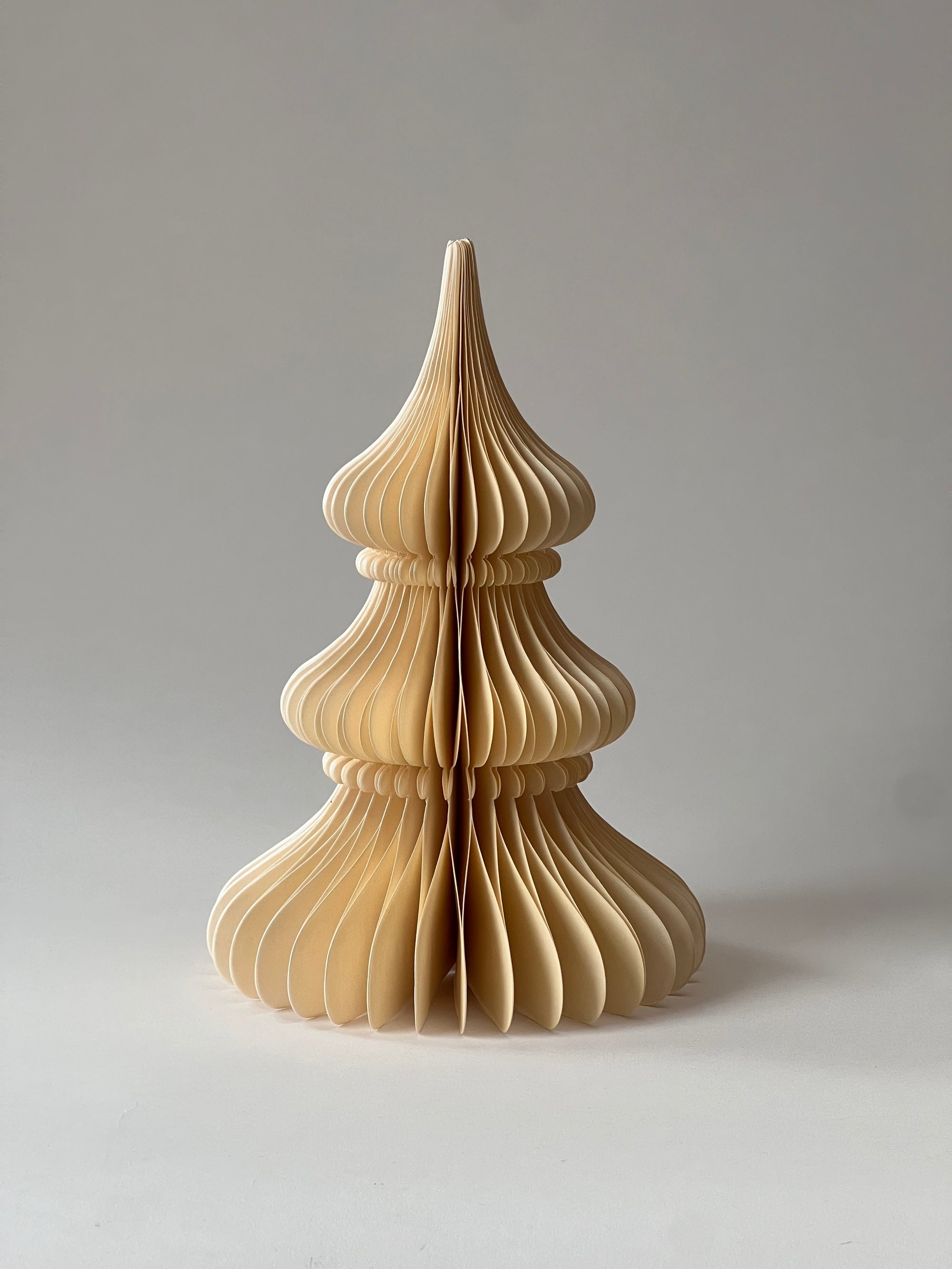 Honeycomb Pappersgran Tree Noble Shell 30 cm