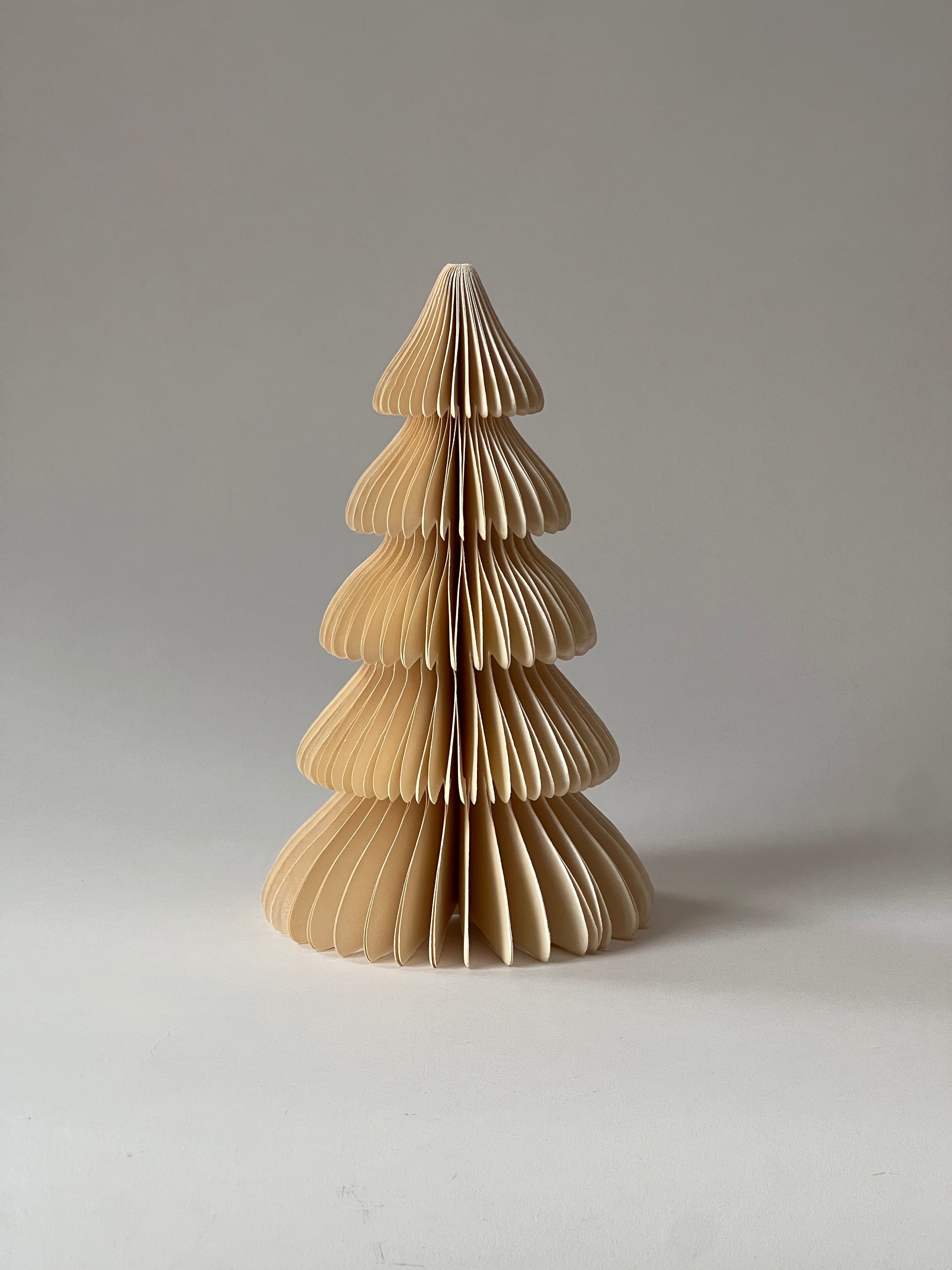 Honeycomb Pappersgran Tree Fraser Shell 26 cm