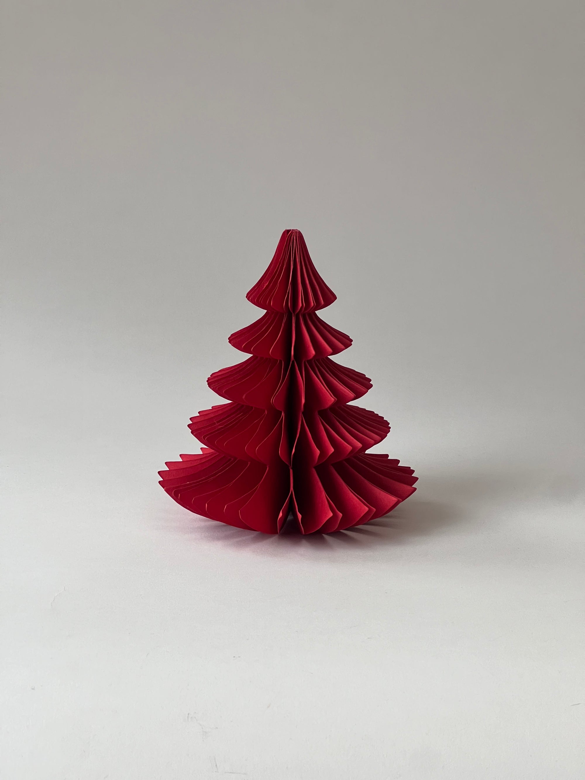 Honeycomb Pappersgran Tree Noble Ruby 16 cm