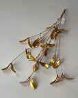 Mistel 40 cm