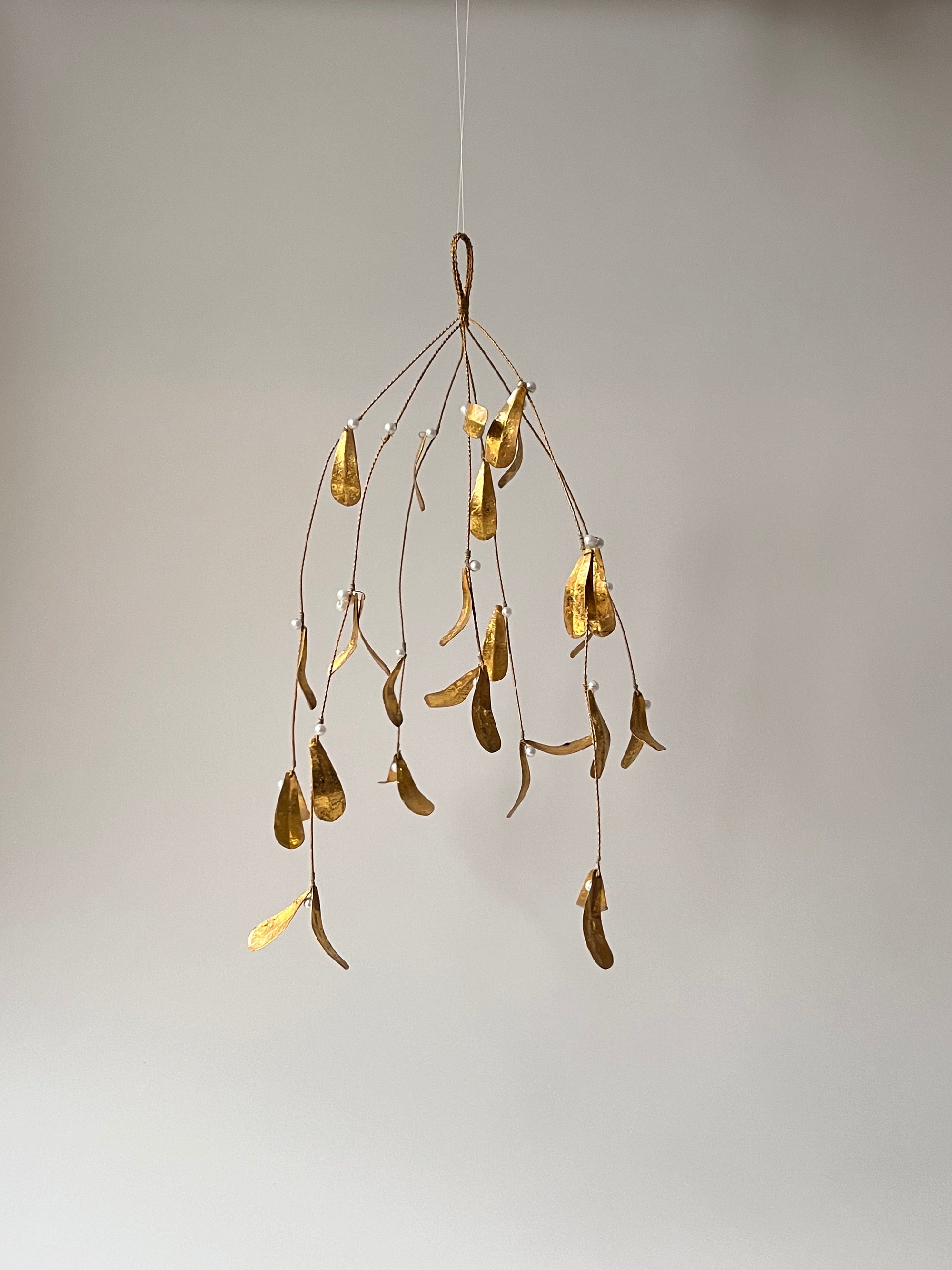 Mistel 40 cm